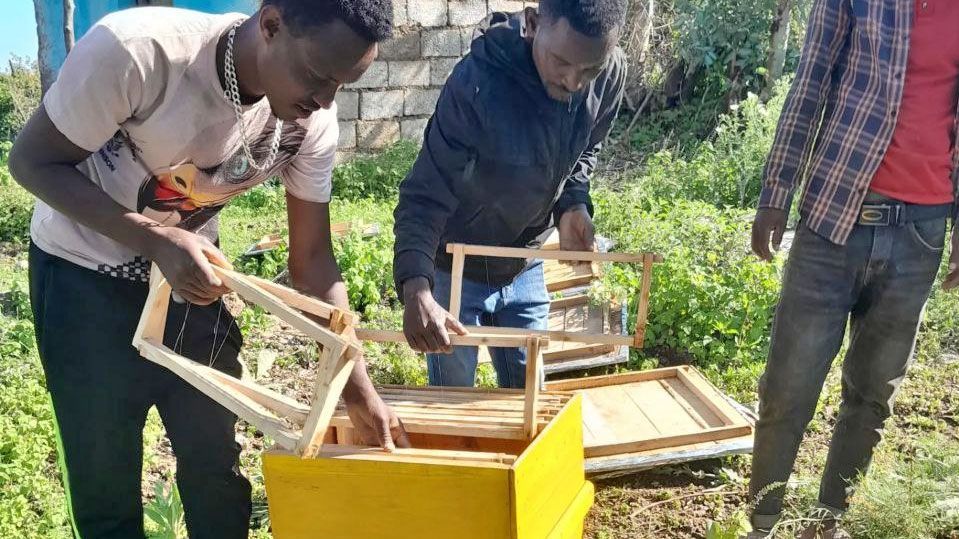 Zwei junge Menschen aus Adama (Äthiopien) setzen Holzrahmen zu einem Bienenstock zusammen. Foto: EECMY DASSC CES BO & SWE AO