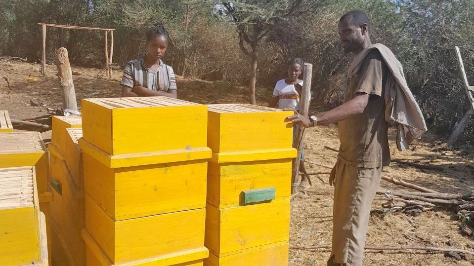 Zwei junge Menschen aus Adama (Äthiopien) schauen sich einen Holzrahmen an, der als Bienenstock dienen wird. Foto: EECMY DASSC CES BO & SWE AO